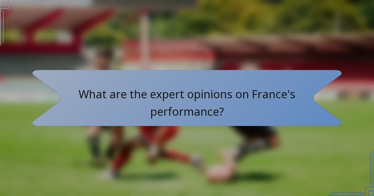What are the expert opinions on France's performance?