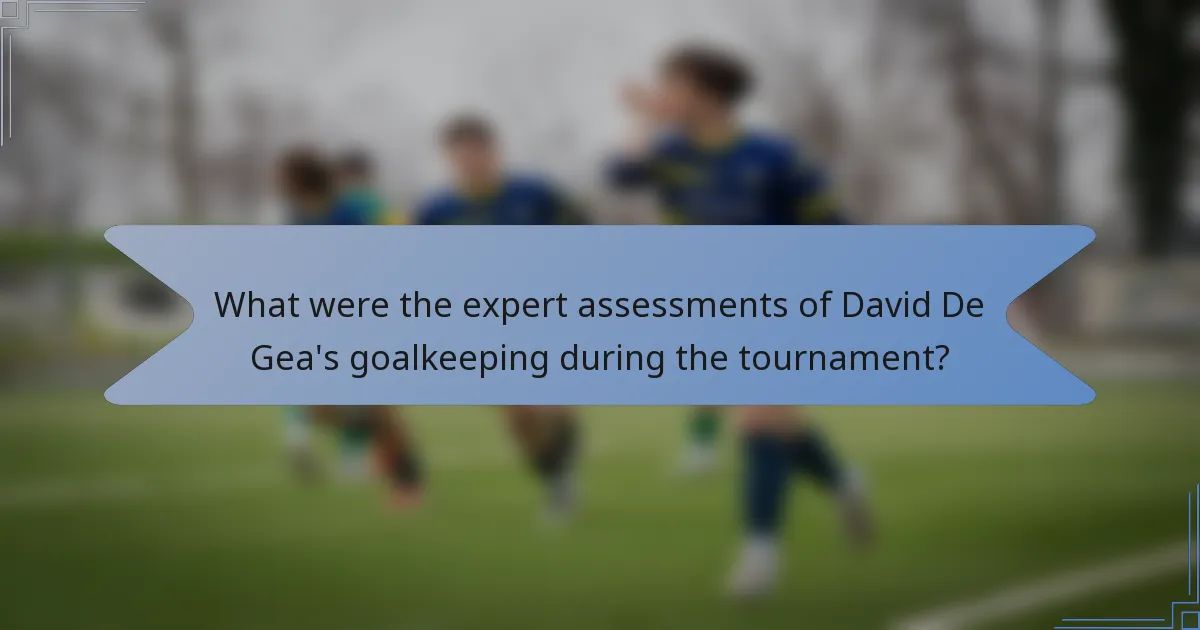 What were the expert assessments of David De Gea's goalkeeping during the tournament?